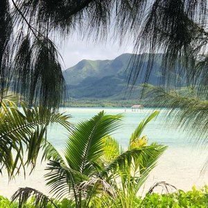 Meet your Posher, Chaqui